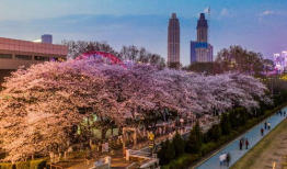 网红爆料吃瓜入口,揭秘吃瓜界的入口秘籍！